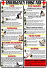 First Aid and Choking Poster, 11' x 17