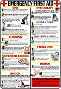 First Aid and Choking Poster, 11' x 17", Laminated, Includes CPR, Shock, Eye Injury, Fracture, Burns, Severe Bleeding & Choking - GPS Gloves