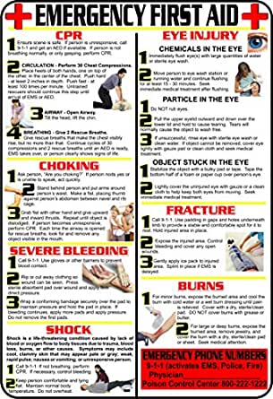 First Aid and Choking Poster, 11' x 17", Laminated, Includes CPR, Shock, Eye Injury, Fracture, Burns, Severe Bleeding & Choking - GPS Gloves